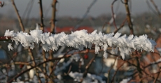 Winterimpressionen 039.jpg